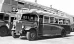 AEC Regal (662) Weymann 1936 года